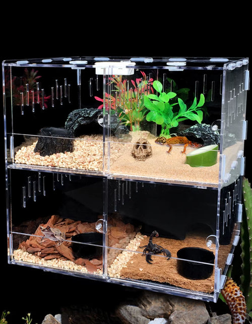 Load image into Gallery viewer, 4 Grids Acrylic Pet Lizard Crawling Box Reptile Tank Insect Spiders Lizard Breeding
